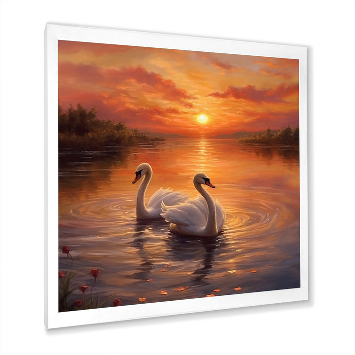Two White Swans Romantic Sunset - Swans Home Decor Art