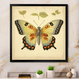 Vintage Illustration Of Elegant Butterfly - Butterfly Living Room Wall Art