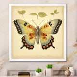 Vintage Illustration Of Elegant Butterfly - Butterfly Living Room Wall Art