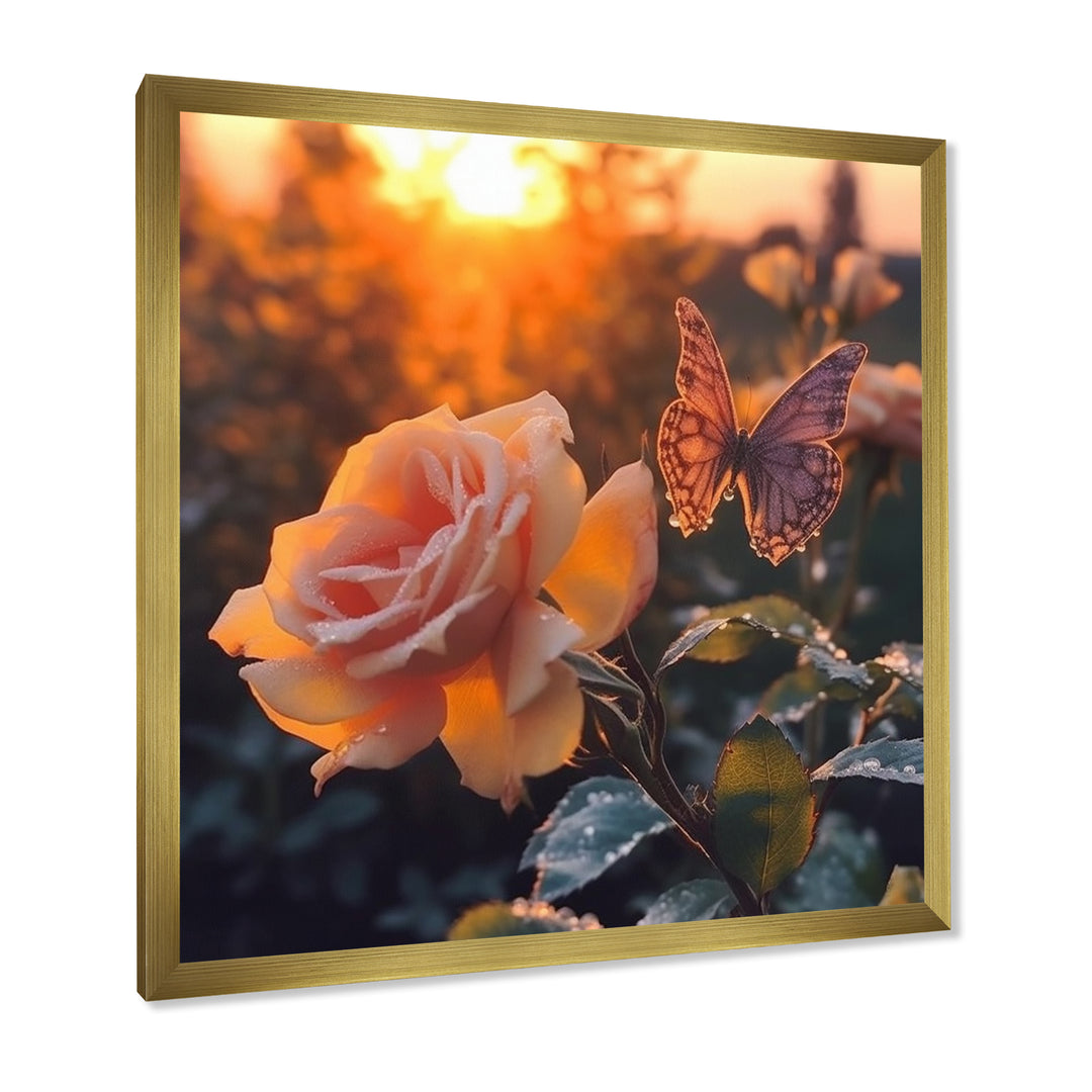 Butterfly On Pink Rose During Sunrise - Butterfly Wall Decor