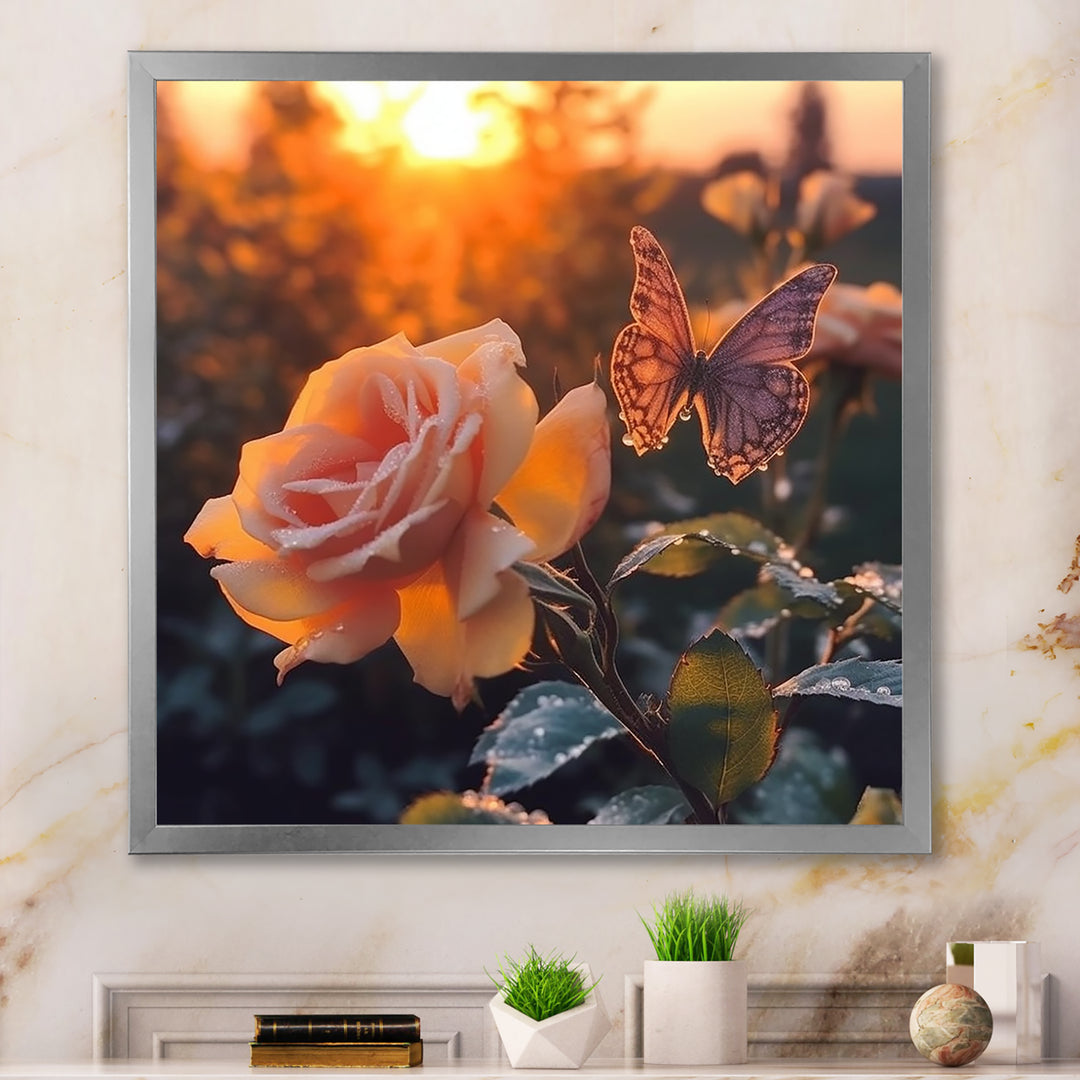 Butterfly On Pink Rose During Sunrise - Butterfly Wall Decor