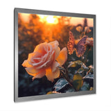 Butterfly On Pink Rose During Sunrise - Butterfly Wall Decor