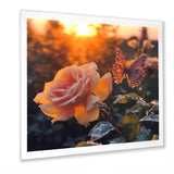 Butterfly On Pink Rose During Sunrise - Butterfly Wall Decor