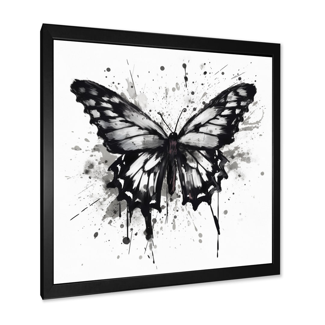 Butterfly Portrait Black And White Watercolor - Butterfly Wall Art Prints