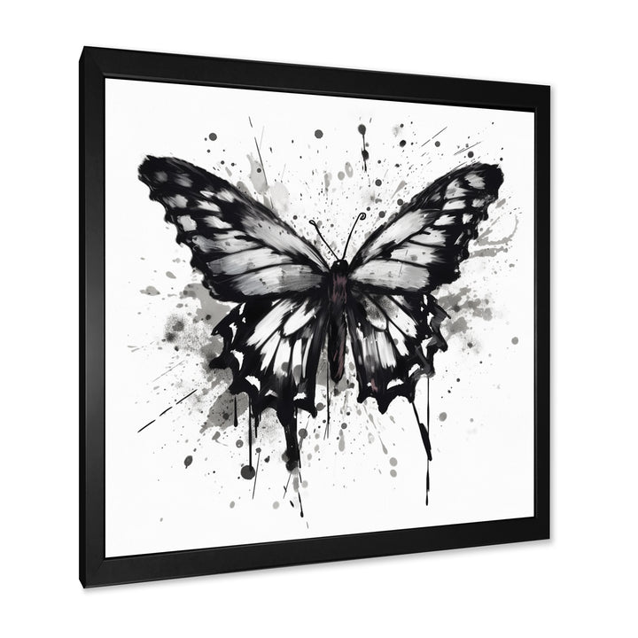 Butterfly Portrait Black And White Watercolor - Butterfly Wall Art Prints