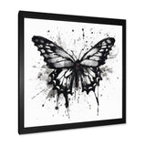 Butterfly Portrait Black And White Watercolor - Butterfly Wall Art Prints
