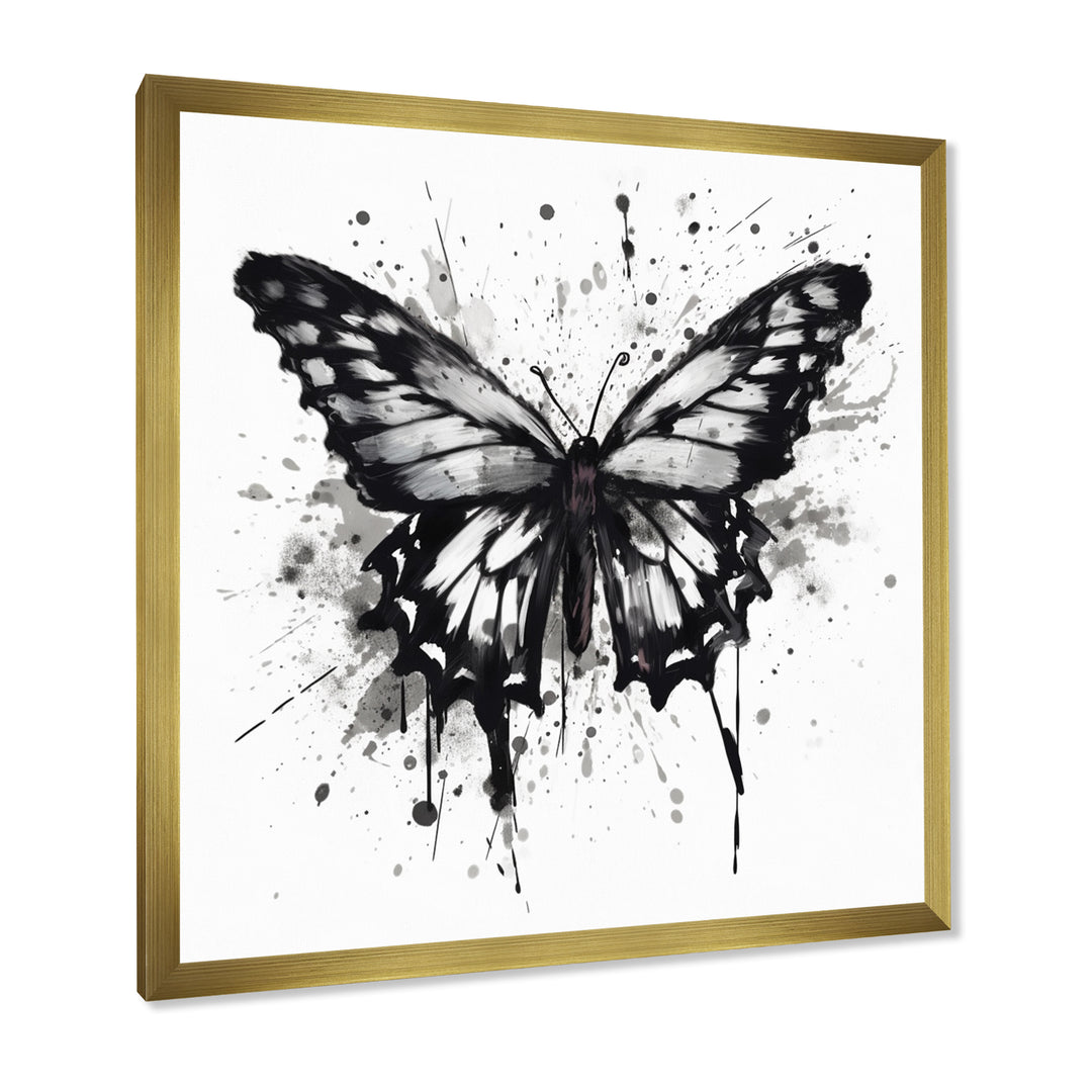 Butterfly Portrait Black And White Watercolor - Butterfly Wall Art Prints