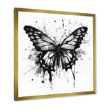 Butterfly Portrait Black And White Watercolor - Butterfly Wall Art Prints