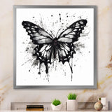 Butterfly Portrait Black And White Watercolor - Butterfly Wall Art Prints