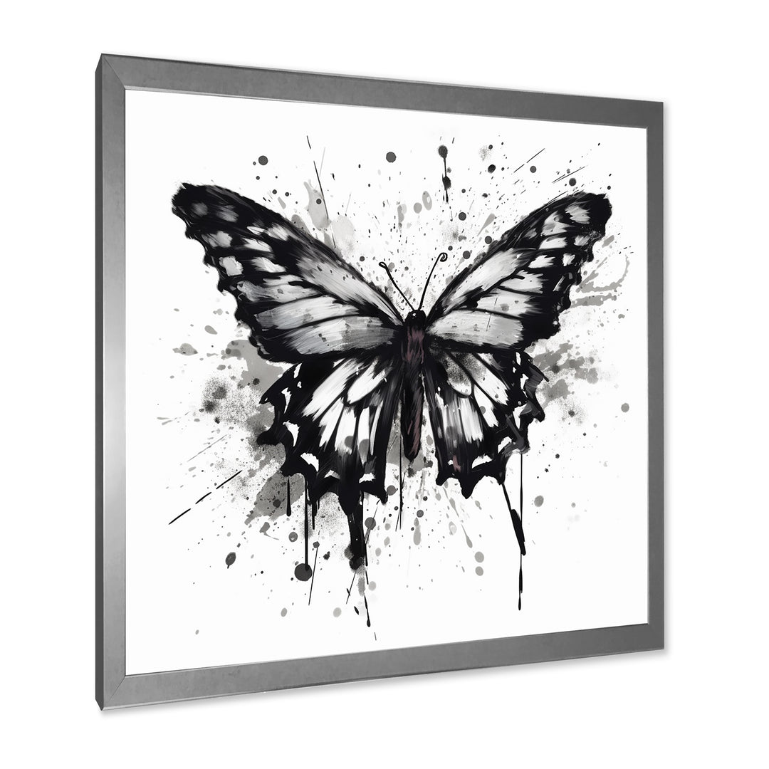 Butterfly Portrait Black And White Watercolor - Butterfly Wall Art Prints
