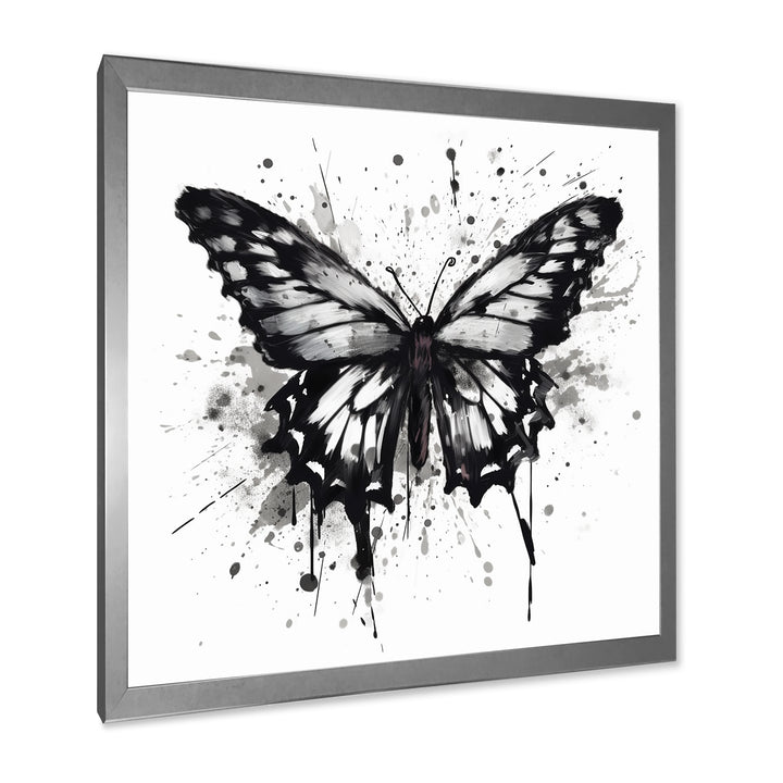 Butterfly Portrait Black And White Watercolor - Butterfly Wall Art Prints