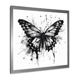 Butterfly Portrait Black And White Watercolor - Butterfly Wall Art Prints