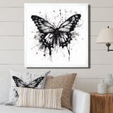 Butterfly Portrait Black And White Watercolor - Butterfly Wall Art Prints