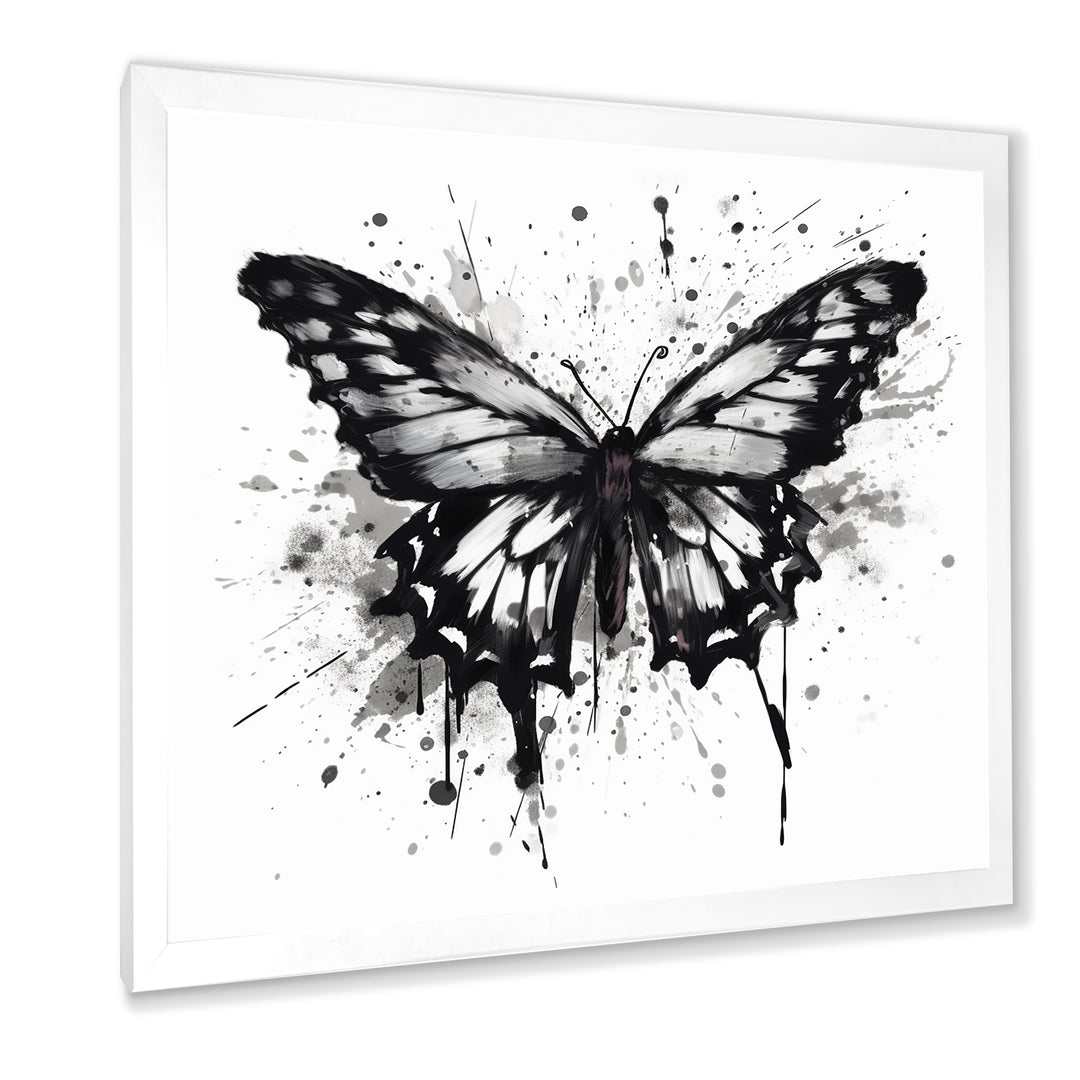 Butterfly Portrait Black And White Watercolor - Butterfly Wall Art Prints