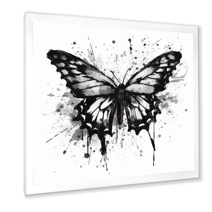 Butterfly Portrait Black And White Watercolor - Butterfly Wall Art Prints