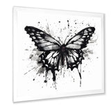 Butterfly Portrait Black And White Watercolor - Butterfly Wall Art Prints