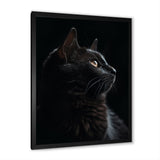Portrait Of A Black Cat Photography - Cat Living Room Wall Art