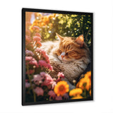 Fluffy Cat Sleeping Sunny Flower Garden - Cat Framed Canvas Art