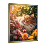 Fluffy Cat Sleeping Sunny Flower Garden - Cat Framed Canvas Art