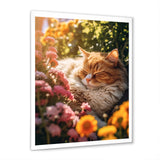 Fluffy Cat Sleeping Sunny Flower Garden - Cat Framed Canvas Art