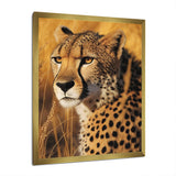 Majestic Cheetah In Savanna Plains - Cheetah Wall Decor