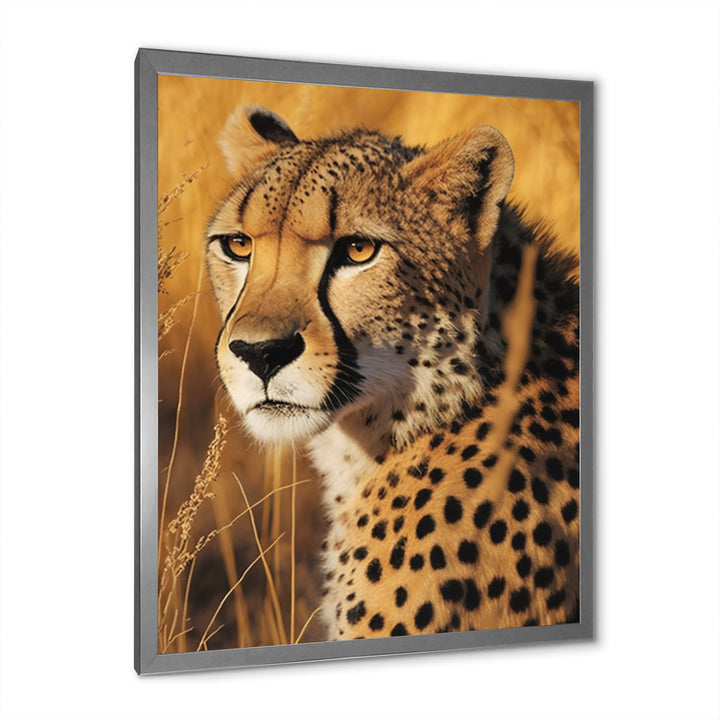 Majestic Cheetah In Savanna Plains - Cheetah Wall Decor
