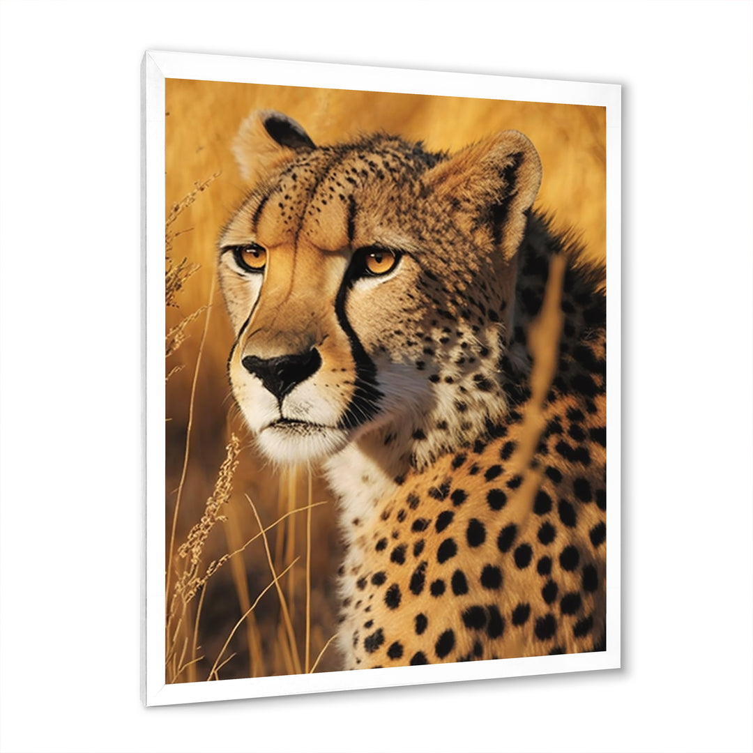 Majestic Cheetah In Savanna Plains - Cheetah Wall Decor