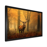 Majestic Deer In Forest Nature Photography - Deer Wall Art Prints