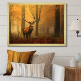 Majestic Deer In Forest Nature Photography - Deer Wall Art Prints