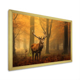 Majestic Deer In Forest Nature Photography - Deer Wall Art Prints