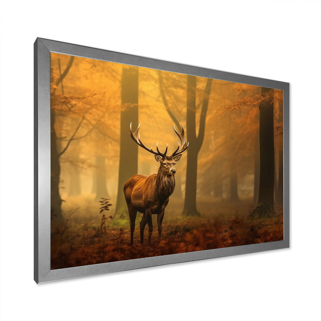 Majestic Deer In Forest Nature Photography - Deer Wall Art Prints
