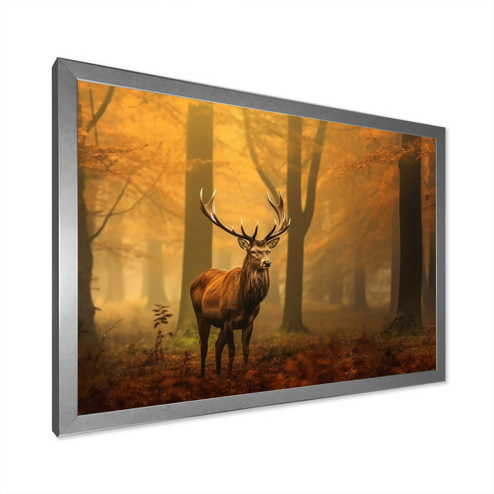 Majestic Deer In Forest Nature Photography - Deer Wall Art Prints