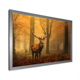 Majestic Deer In Forest Nature Photography - Deer Wall Art Prints