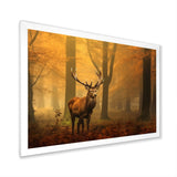 Majestic Deer In Forest Nature Photography - Deer Wall Art Prints