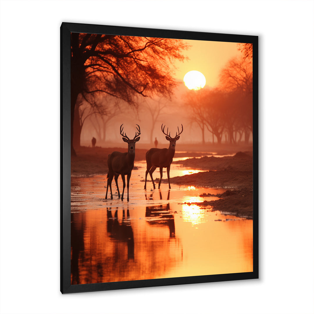 Two Deers At Sunset Nature Photography - Deer Wall Art Prints