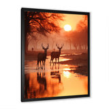 Two Deers At Sunset Nature Photography - Deer Wall Art Prints
