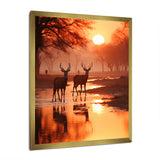 Two Deers At Sunset Nature Photography - Deer Wall Art Prints