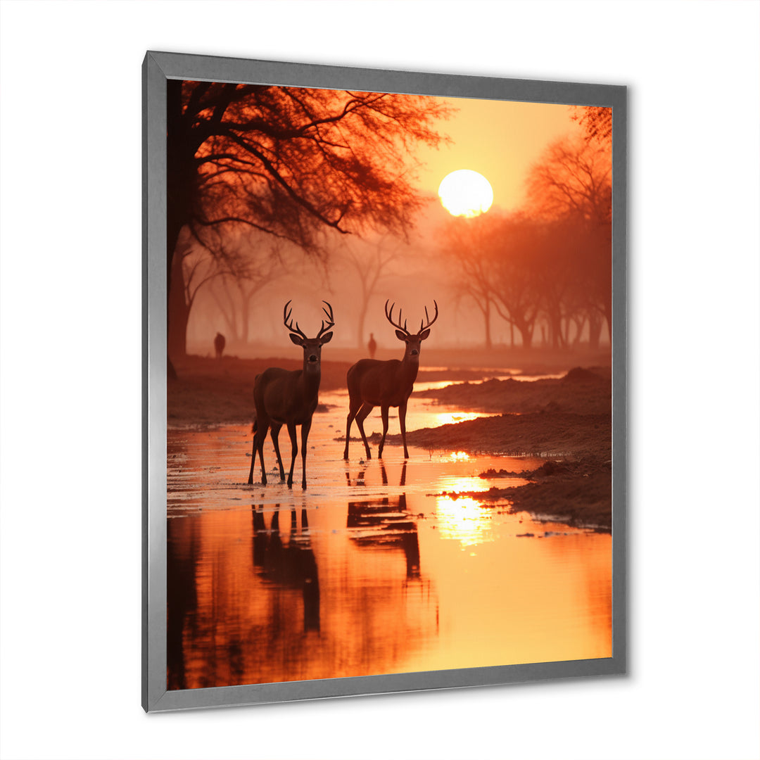 Two Deers At Sunset Nature Photography - Deer Wall Art Prints