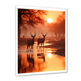 Two Deers At Sunset Nature Photography - Deer Wall Art Prints