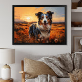 Border Collie Walking Under Golden Horizon - Dog Large Canvas Wall Art