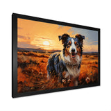 Border Collie Walking Under Golden Horizon - Dog Large Canvas Wall Art