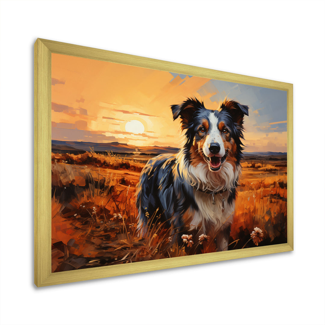 Border Collie Walking Under Golden Horizon - Dog Large Canvas Wall Art