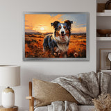 Border Collie Walking Under Golden Horizon - Dog Large Canvas Wall Art
