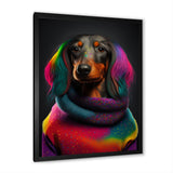 Cool Dachshund In Rainbow Designer Sweater - Dog Daschund Wall Art Prints