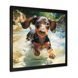Cute Dachshund Playing In The River - Dog Daschund Home Decor Art