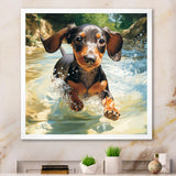 Cute Dachshund Playing In The River - Dog Daschund Home Decor Art
