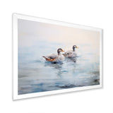 Brown Ducks Swimming Misty Morning Lake - Duck Canvas Wall Art