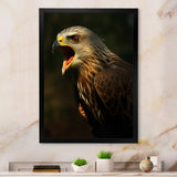 Portrait Of Eagle Nature Photography - Eagle Wall Art Prints