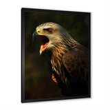 Portrait Of Eagle Nature Photography - Eagle Wall Art Prints