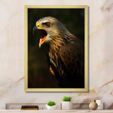 Portrait Of Eagle Nature Photography - Eagle Wall Art Prints